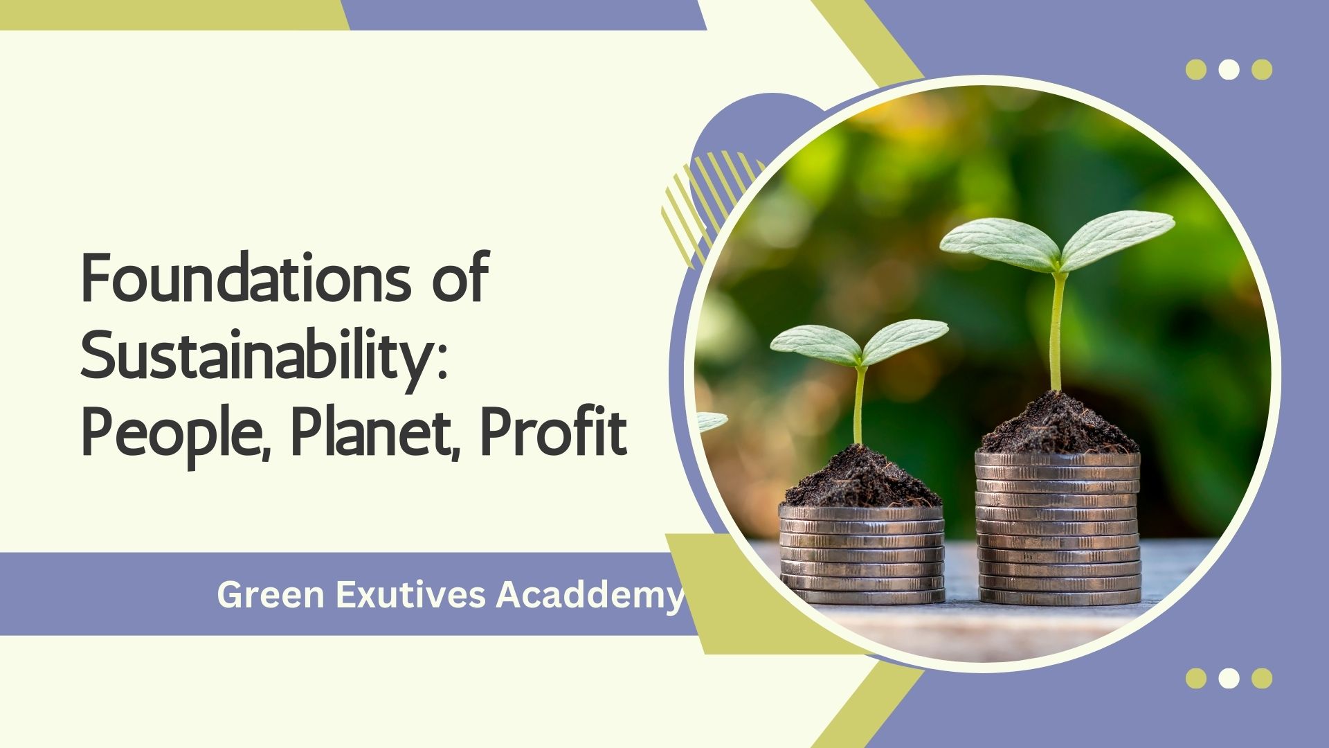 Foundations of Sustainability: People, Planet, Profit